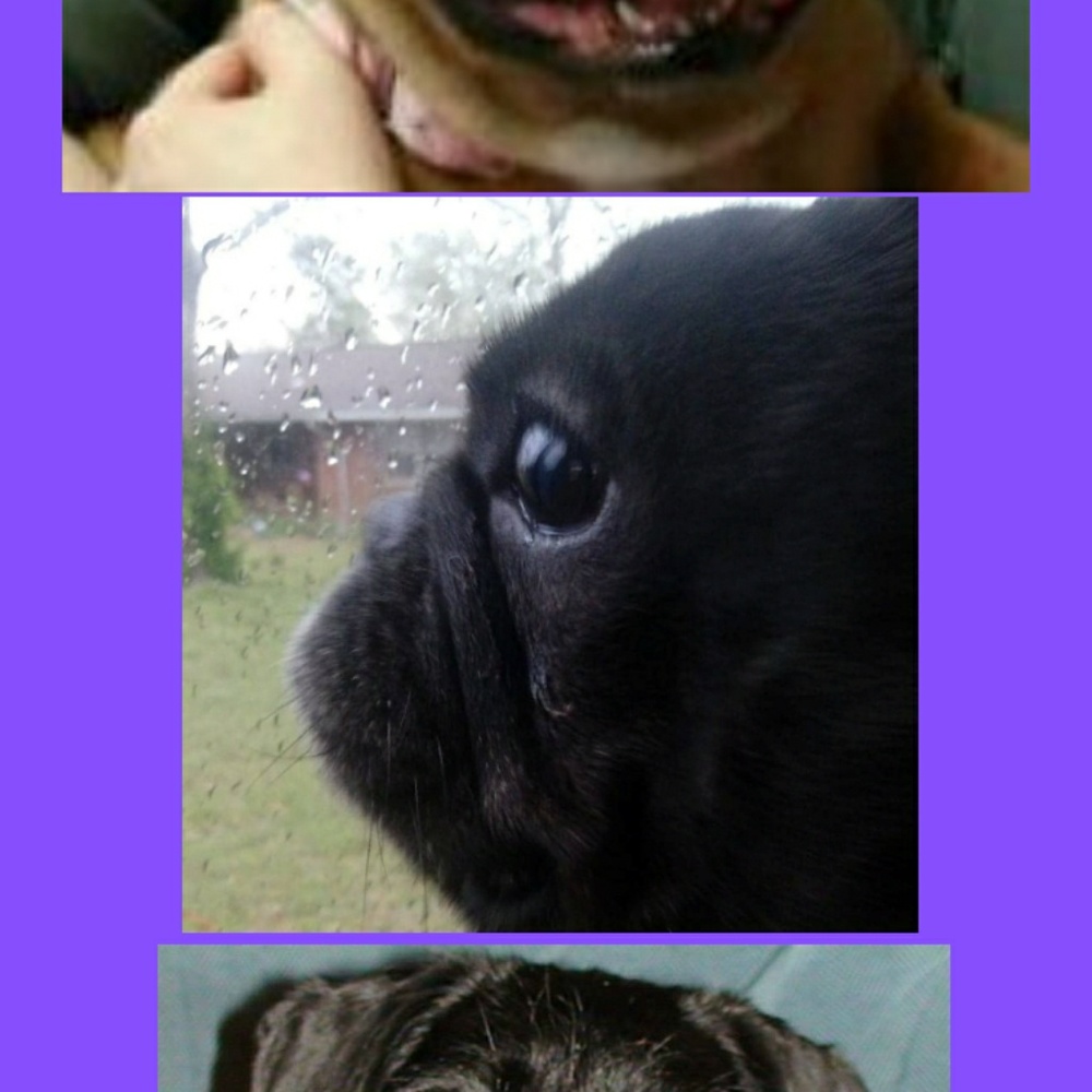 Meet your Posher, T lee